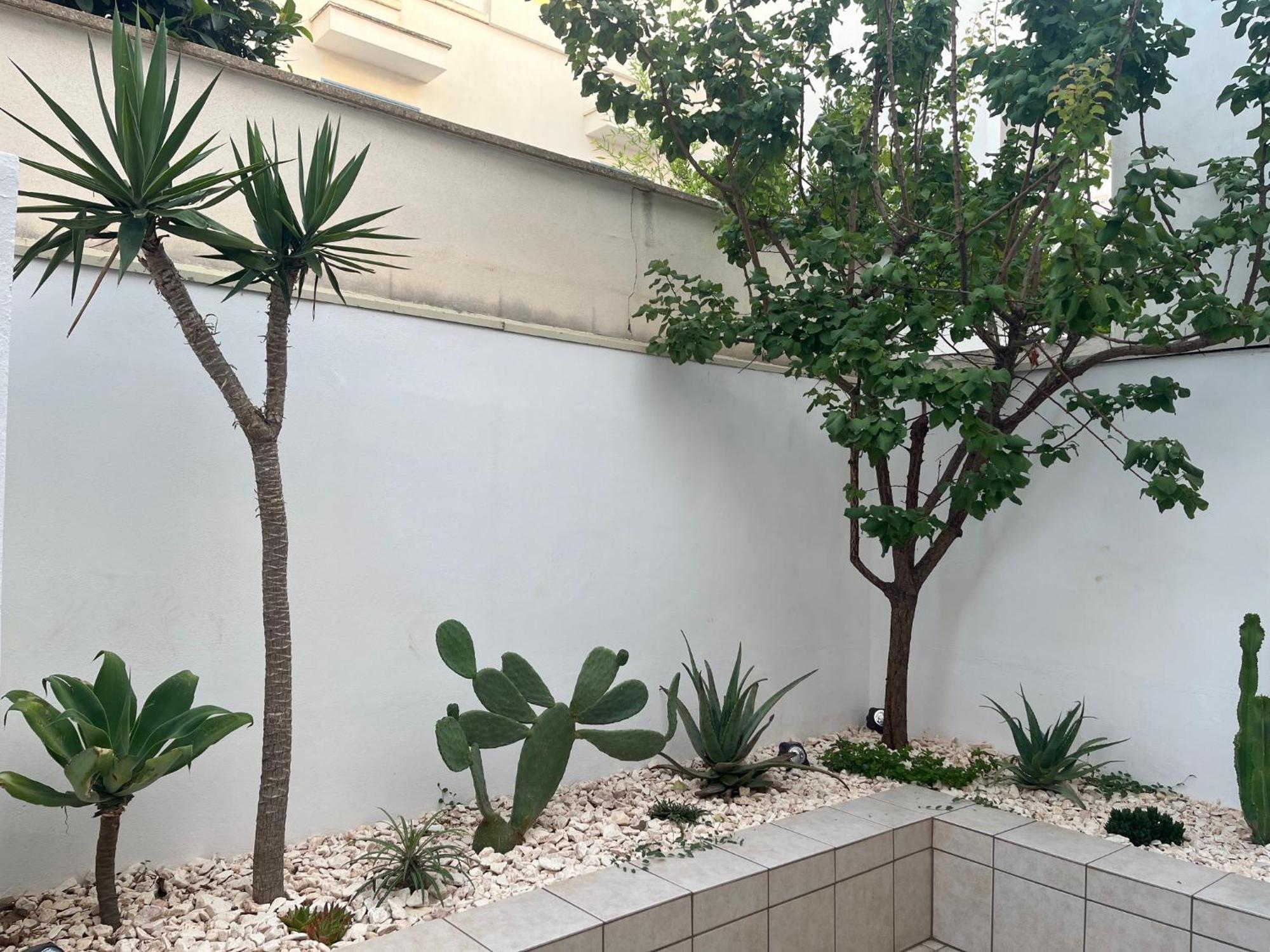 לידו מריני Villa Ticia A 100 Metri Dalla Spiaggia Con Parcheggio Privato מראה חיצוני תמונה